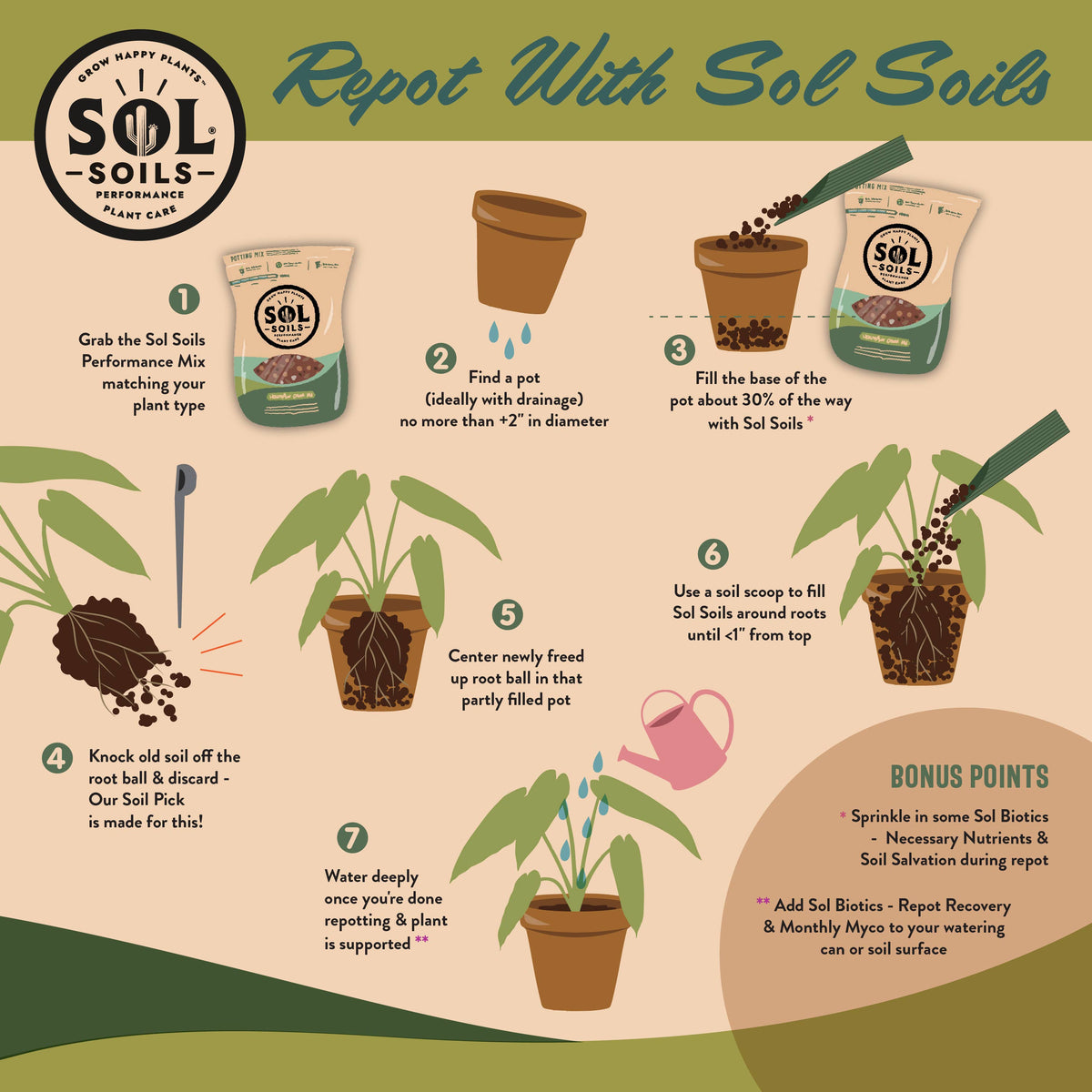 Soil (1Gal) Houseplant Chunky Mix (Aroid/Tropical Soilless): 1 Gallon (4 Quarts)