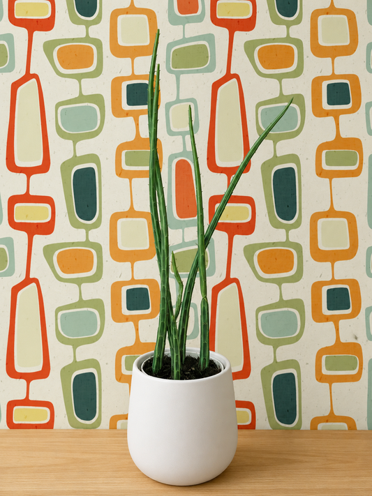 Extra Tall Pickle Cactus