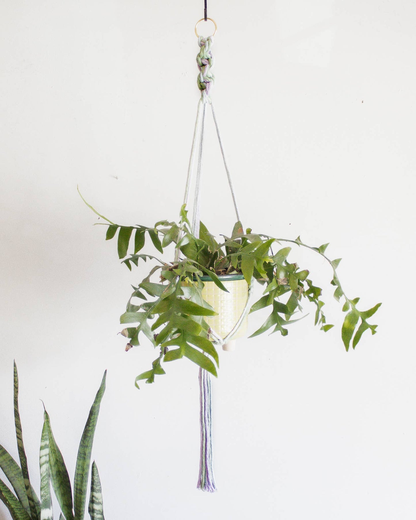 Chunky Twist Plant Hanger - Multicolor: Copper