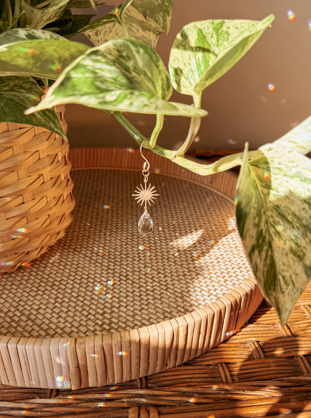Plant Charm | Suncatcher + Sun | Houseplant Accessories