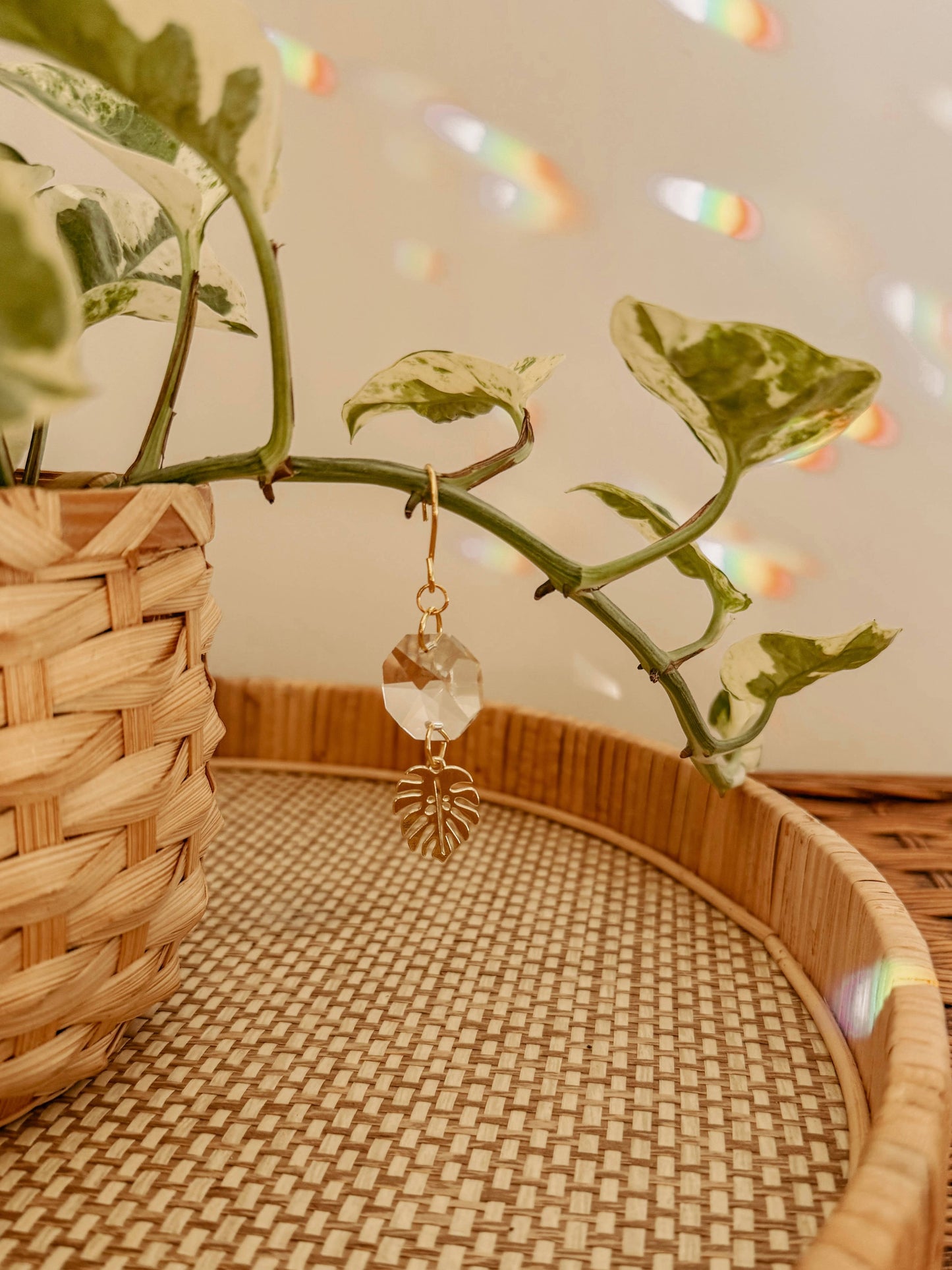 Plant Stake and Vine Charm Set | Suncatcher + Monstera Leaf
