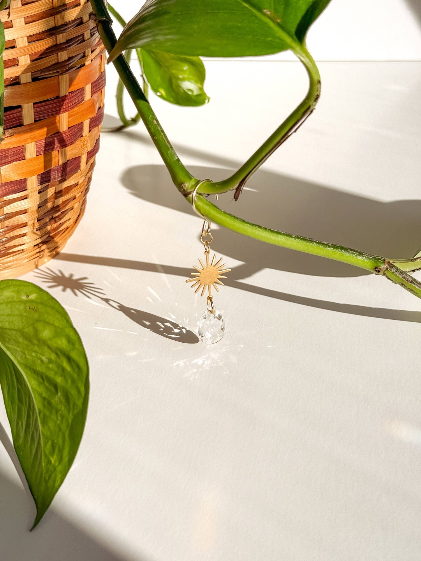 Plant Charm | Suncatcher + Sun | Houseplant Accessories