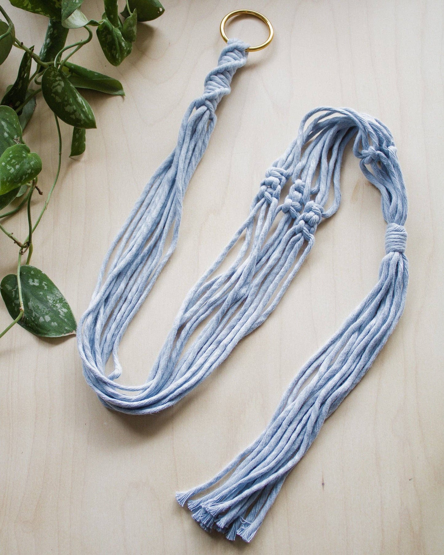 Basic Macrame Plant Hanger: Deep Green