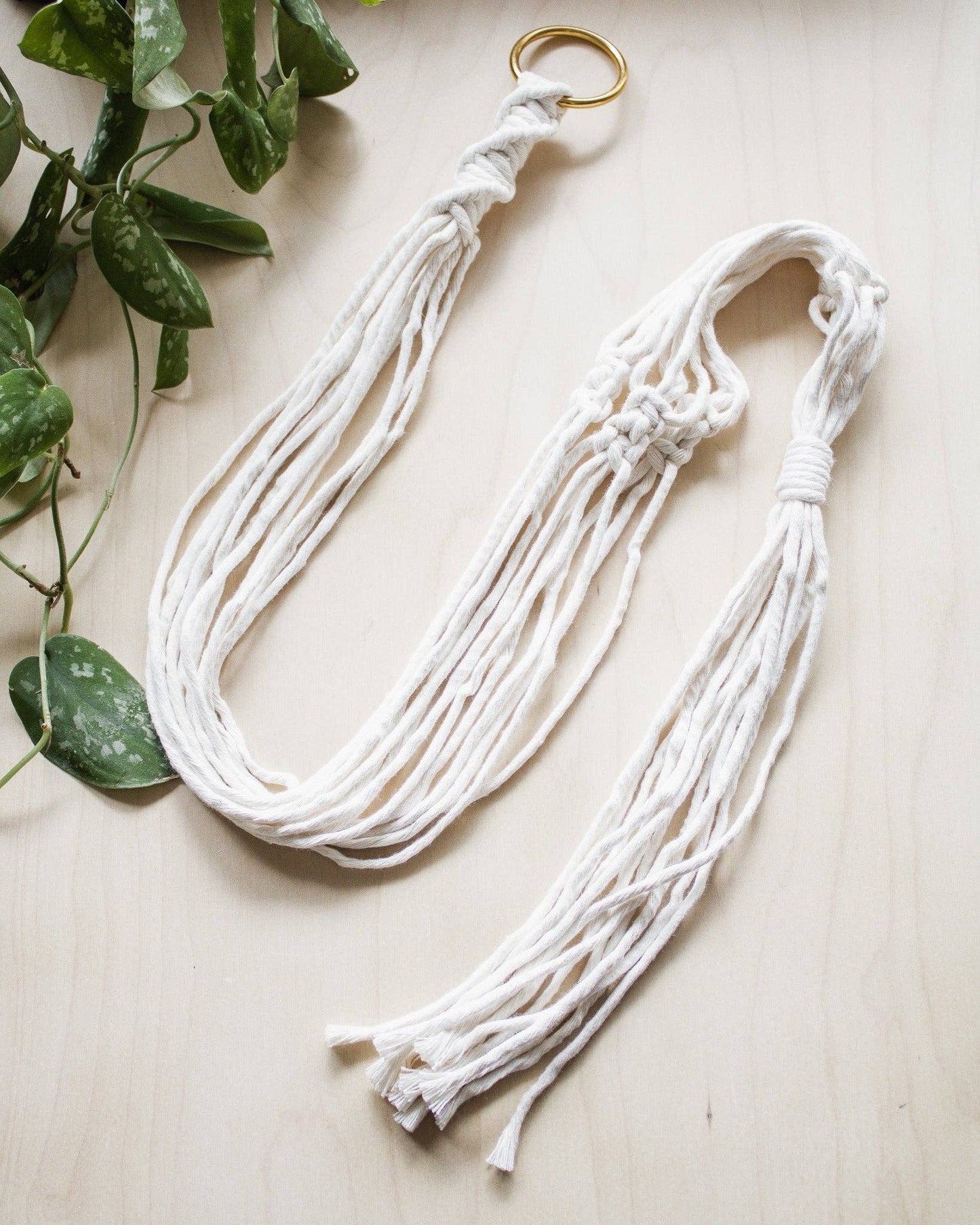 Basic Macrame Plant Hanger: Moss