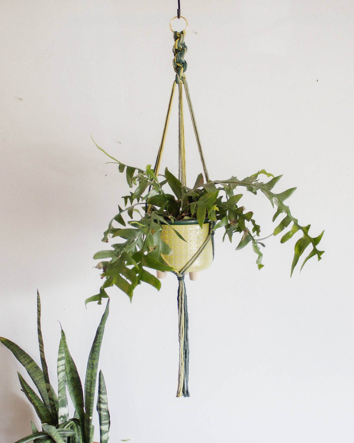 Chunky Twist Plant Hanger - Multicolor: Mink