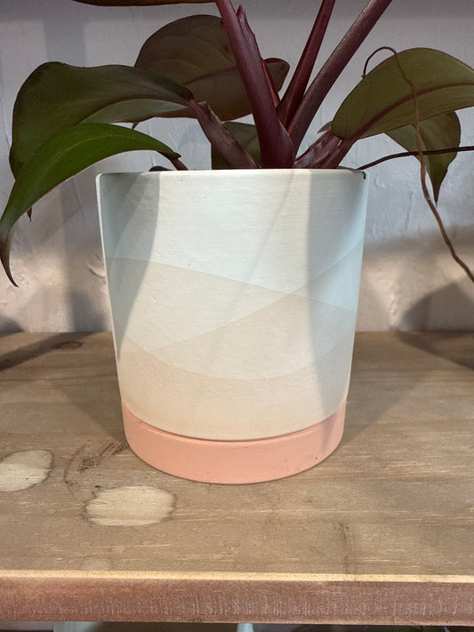 Vesper Pot w Saucer 4.5”x4.75”