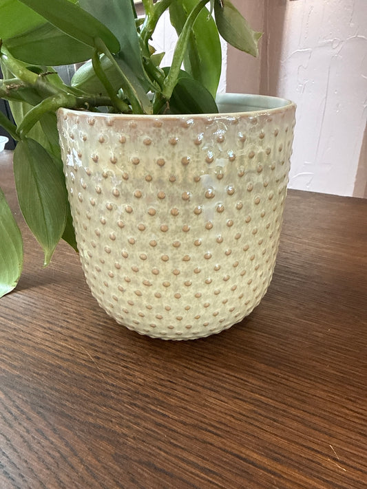 Everly Pot 5” x 5.5”