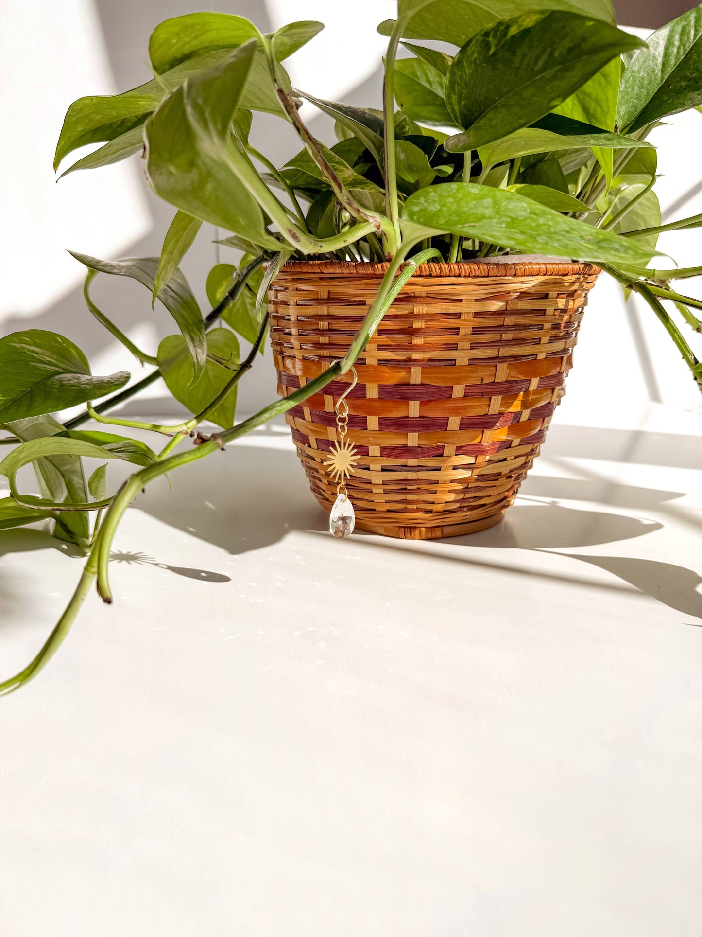 Plant Charm | Suncatcher + Sun | Houseplant Accessories