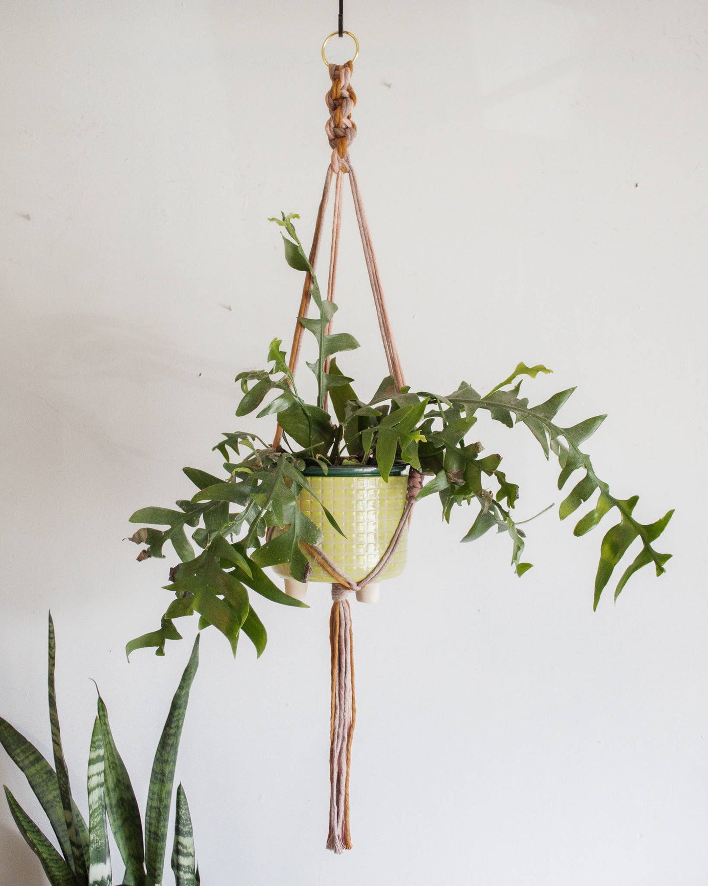 Chunky Twist Plant Hanger - Multicolor: Copper