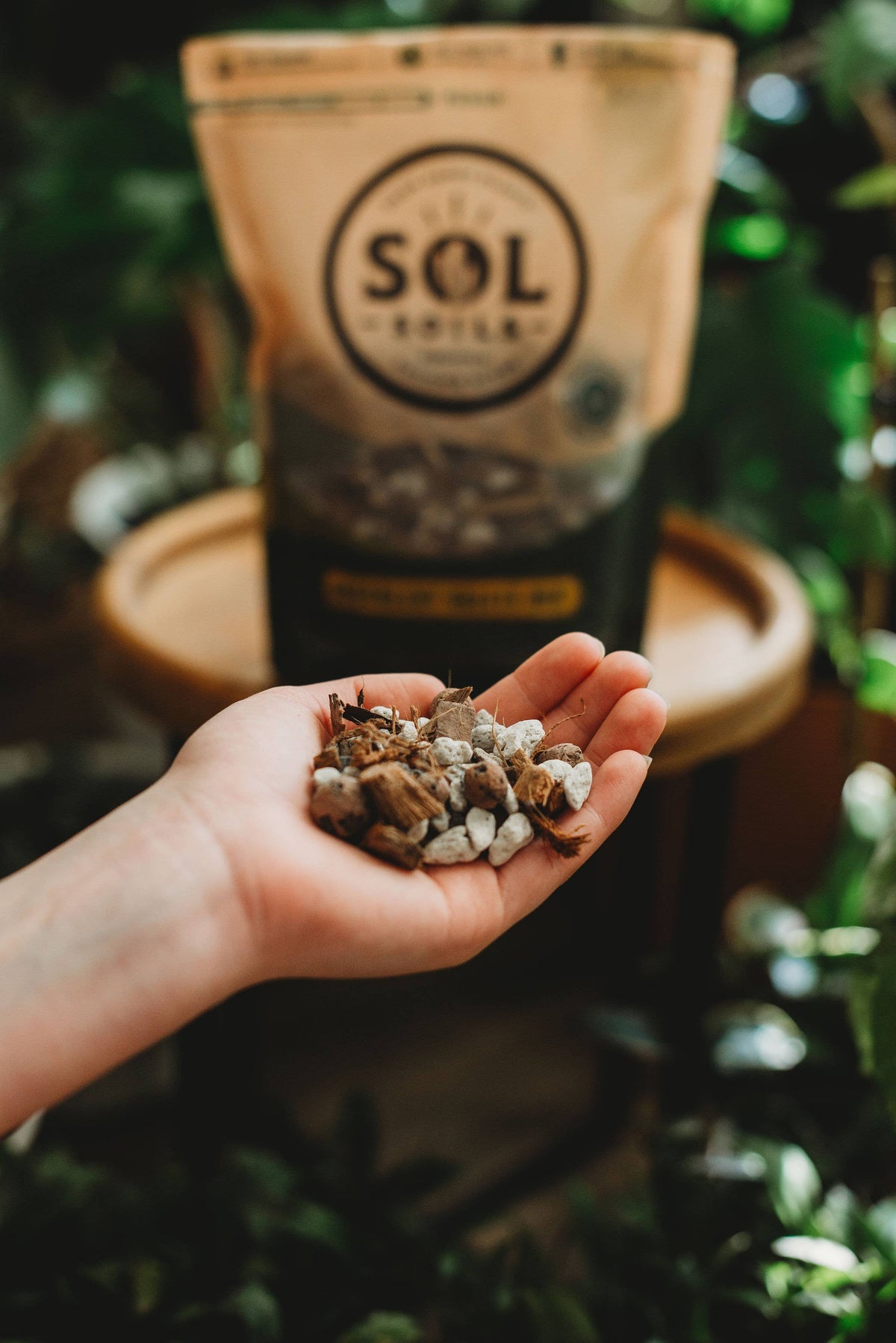 Soil (2Qt) Succulent Gritty Mix (Soilless): 2 Quarts