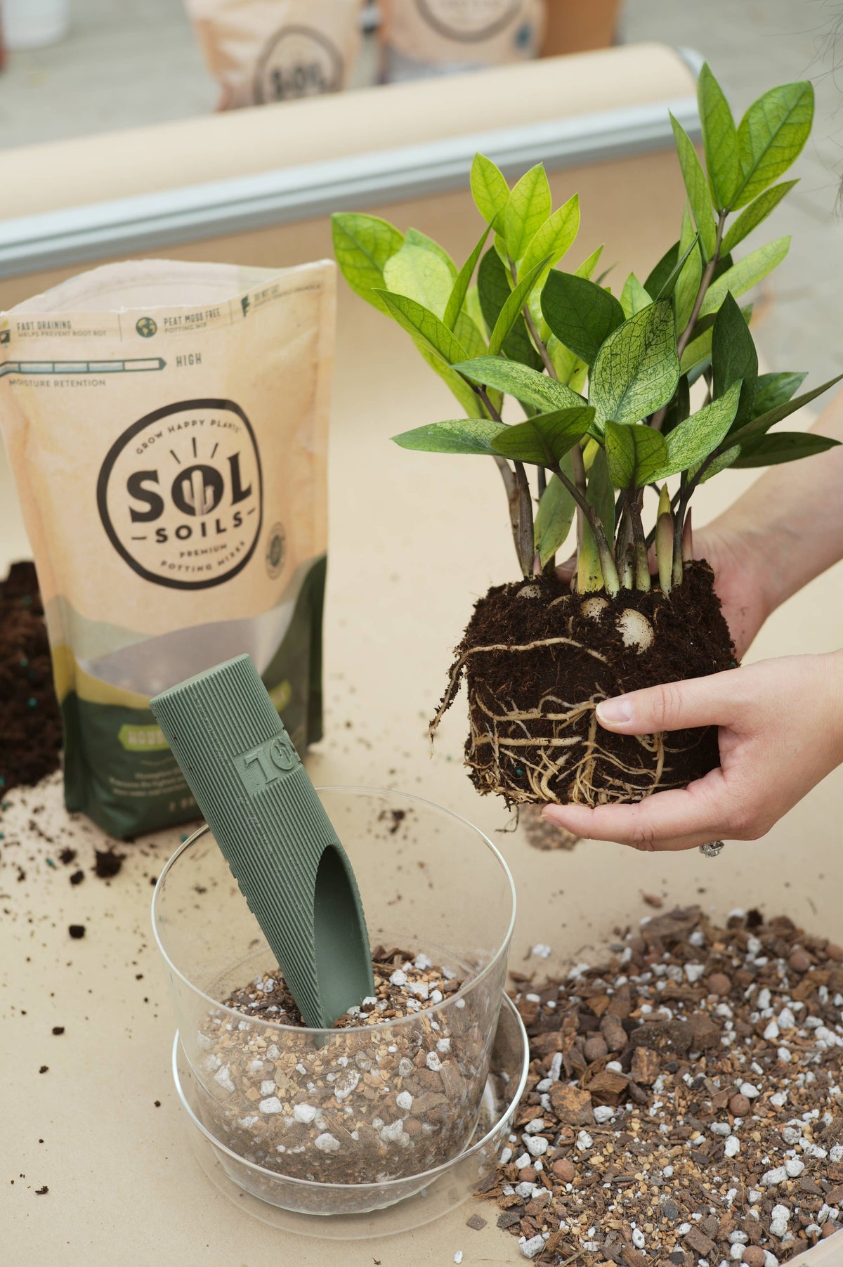 Bulk Soil - Houseplant Chunky Mix (7 Gal Box) Soilless