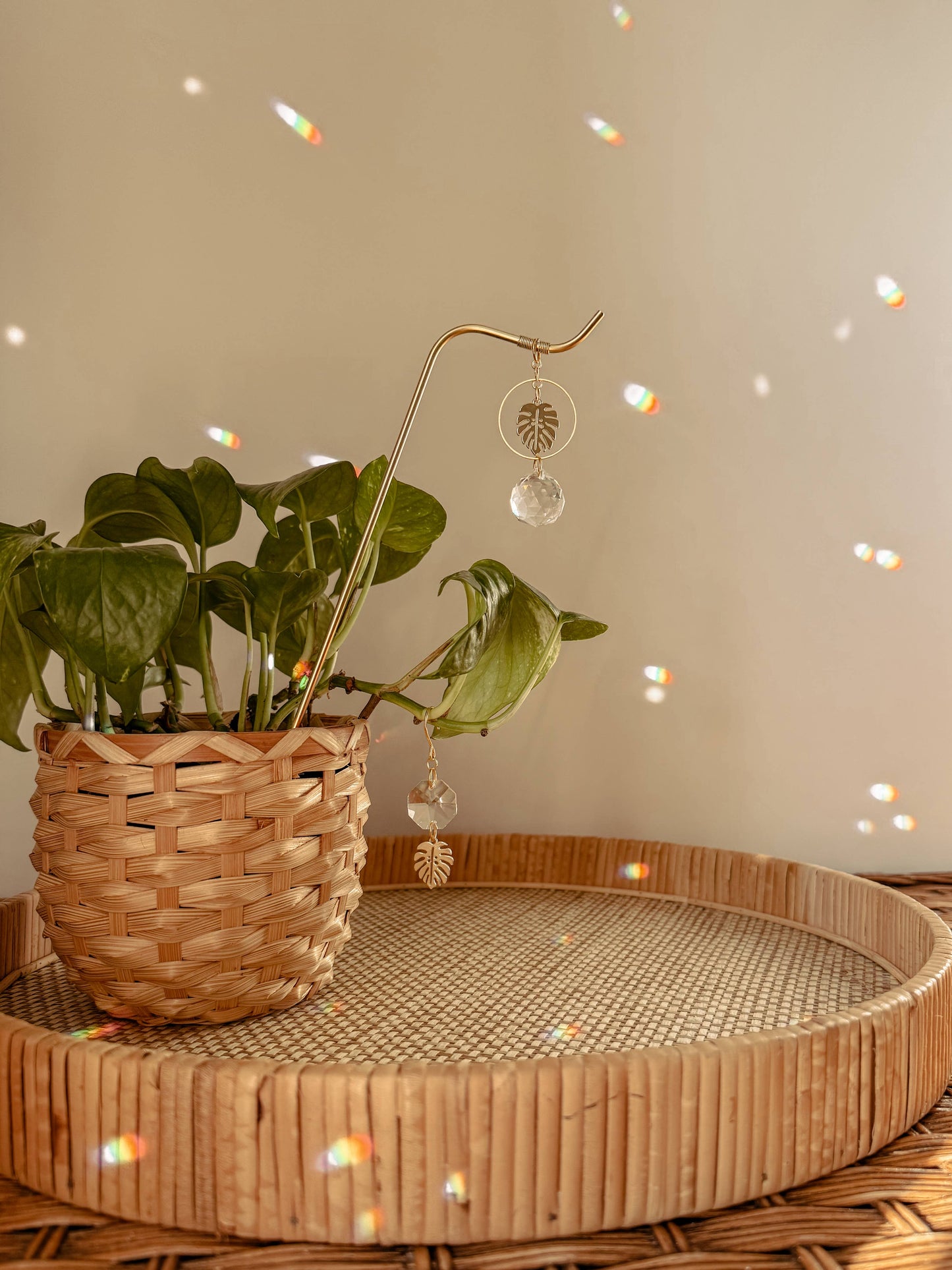 Plant Stake and Vine Charm Set | Suncatcher + Monstera Leaf