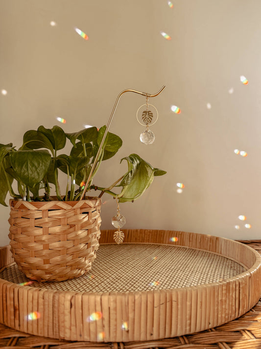 Plant Stake and Vine Charm Set | Suncatcher + Monstera Leaf