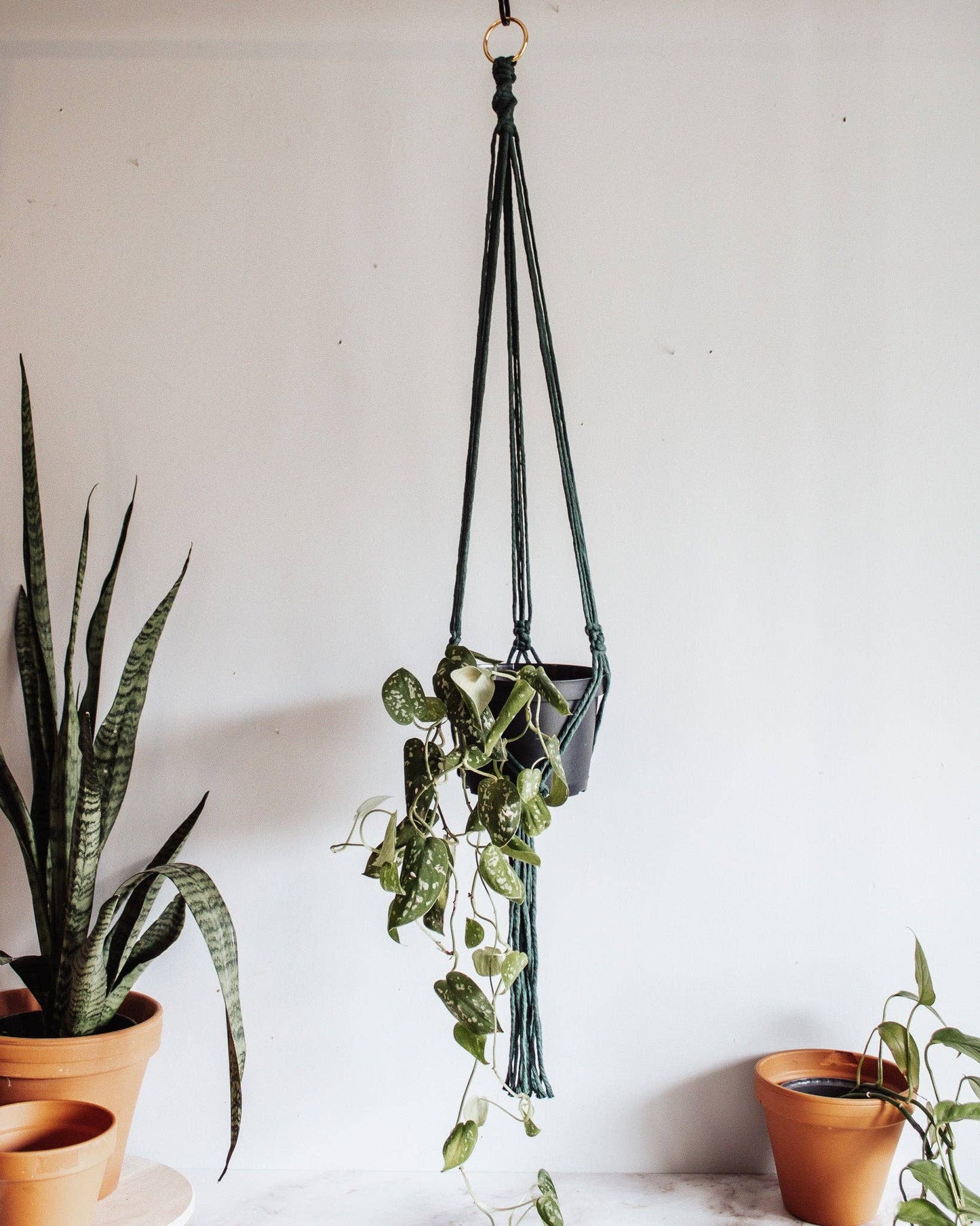 Basic Macrame Plant Hanger: Deep Green