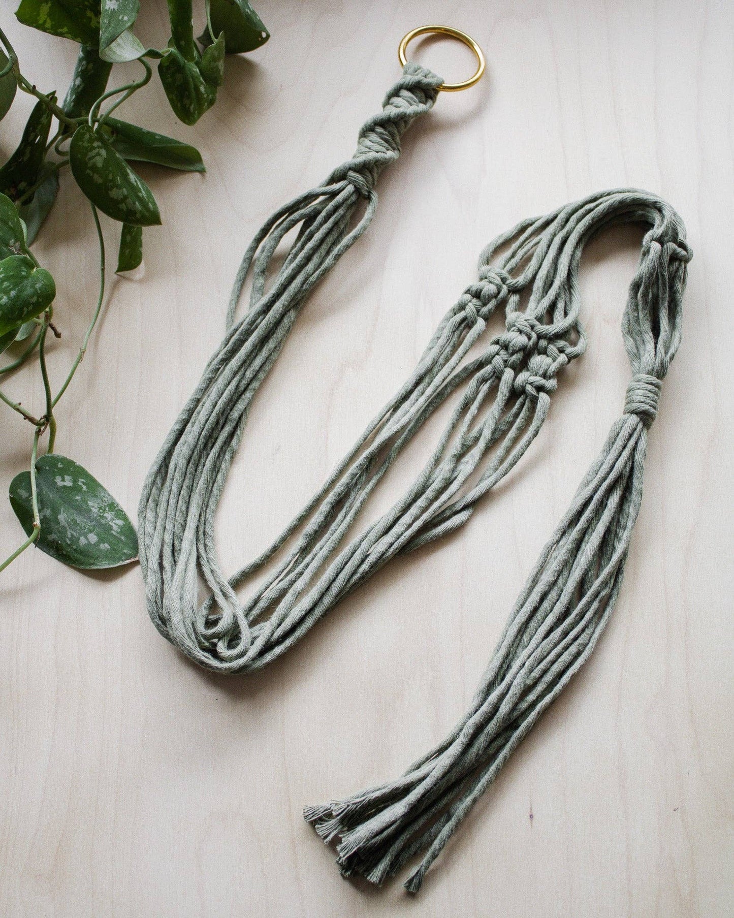 Basic Macrame Plant Hanger: Deep Green