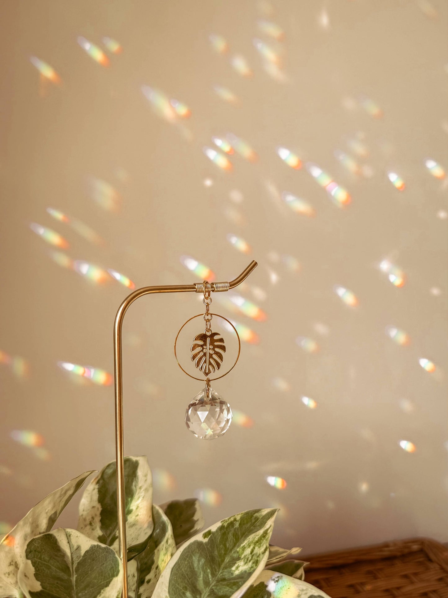 Plant Stake and Vine Charm Set | Suncatcher + Monstera Leaf