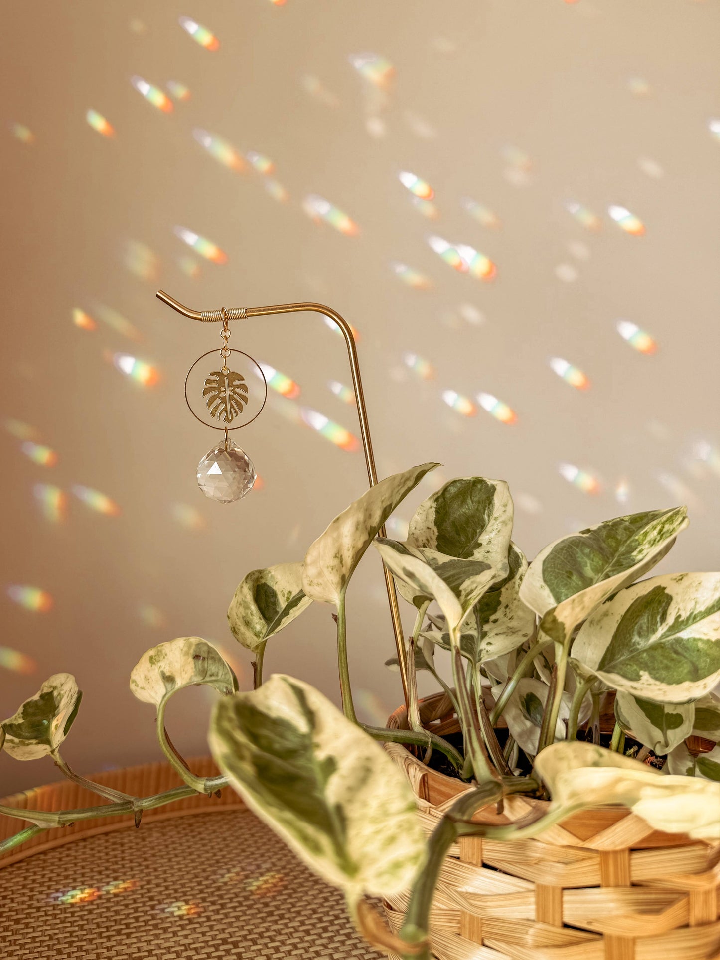 Plant Stake and Vine Charm Set | Suncatcher + Monstera Leaf
