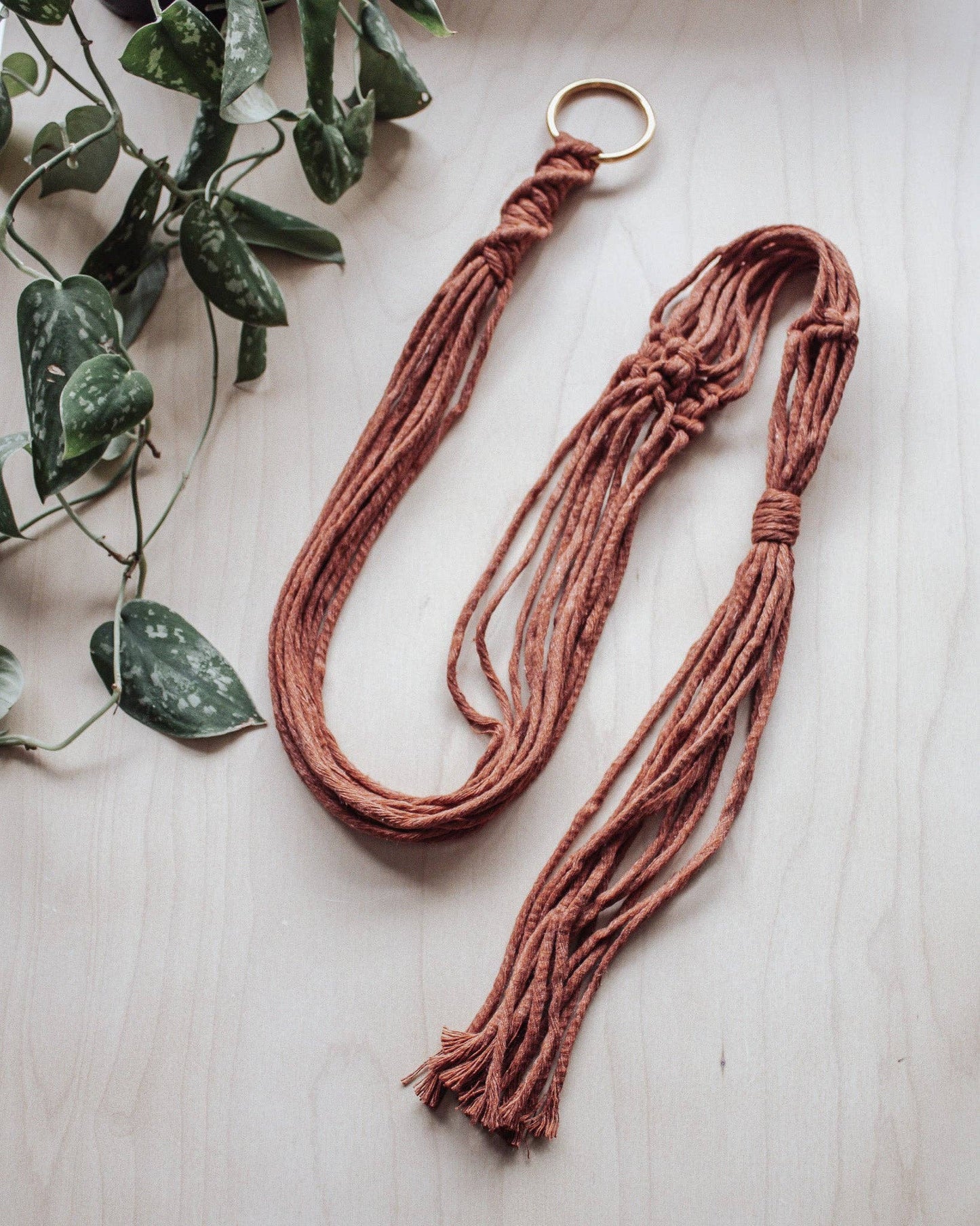 Basic Macrame Plant Hanger: Moss