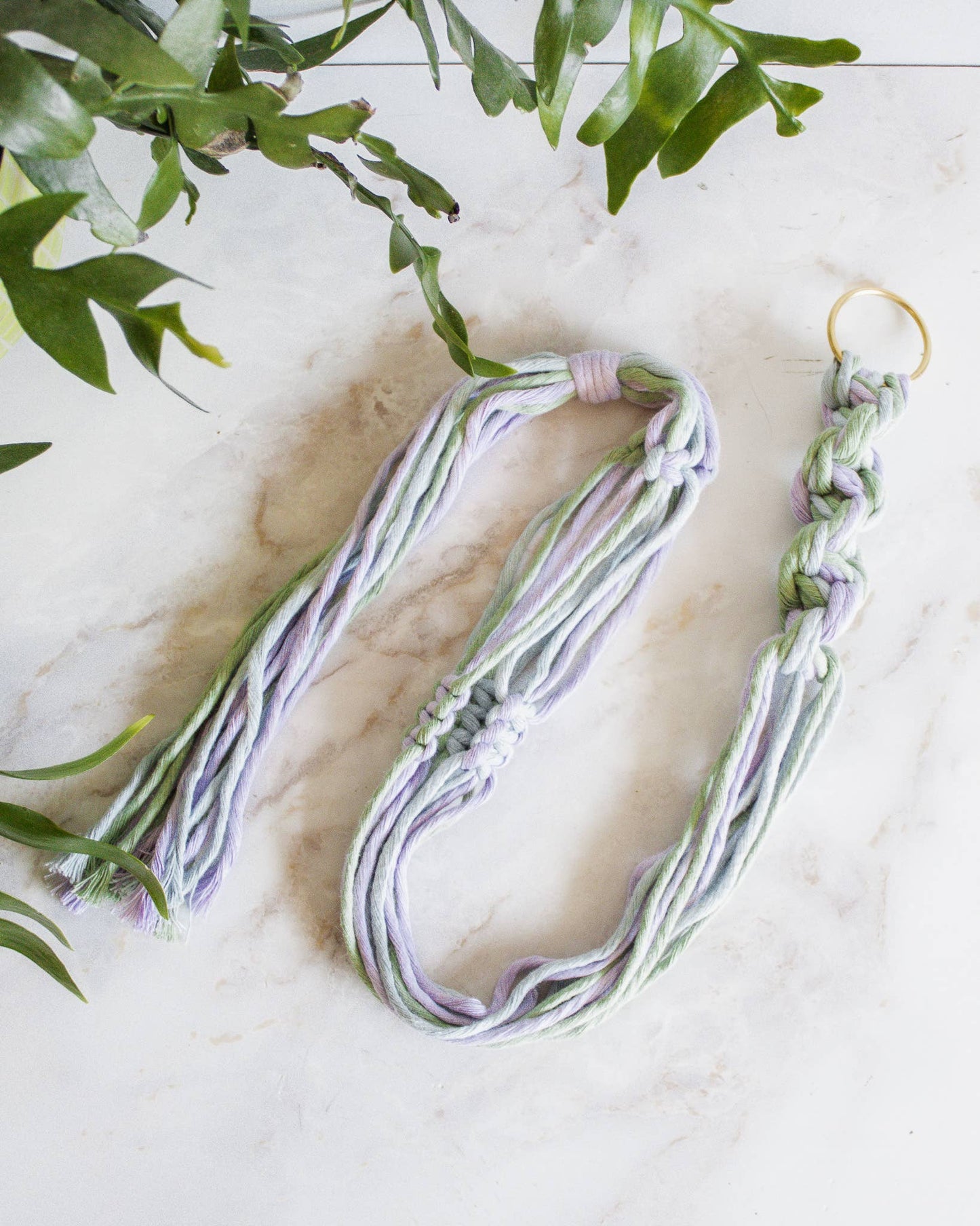 Chunky Twist Plant Hanger - Multicolor: Deep Green