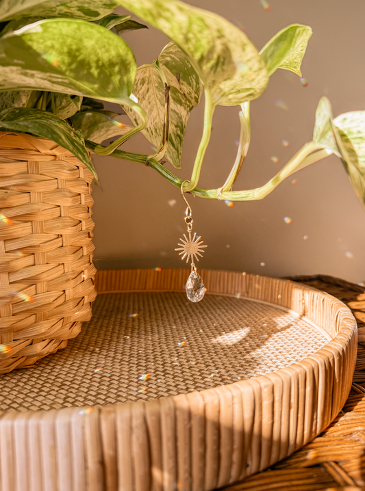 Plant Charm | Suncatcher + Sun | Houseplant Accessories
