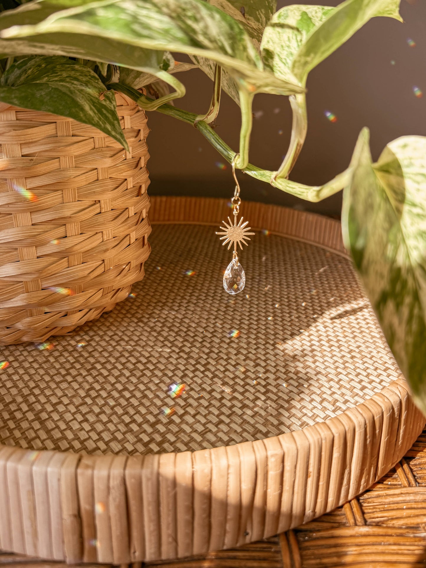 Plant Charm | Suncatcher + Sun | Houseplant Accessories