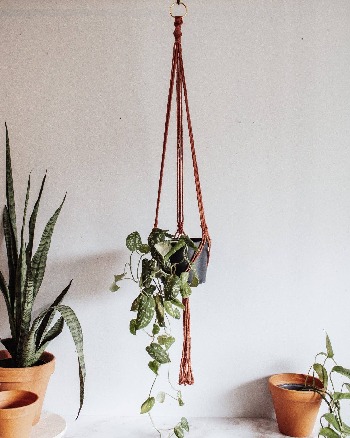 Basic Macrame Plant Hanger: Deep Green