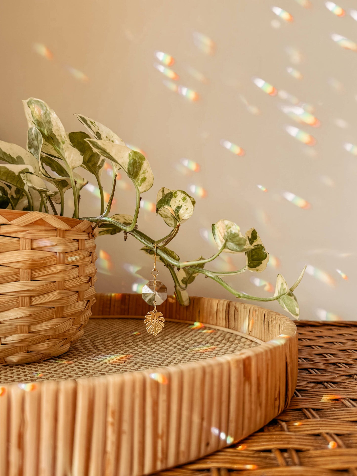 Plant Stake and Vine Charm Set | Suncatcher + Monstera Leaf