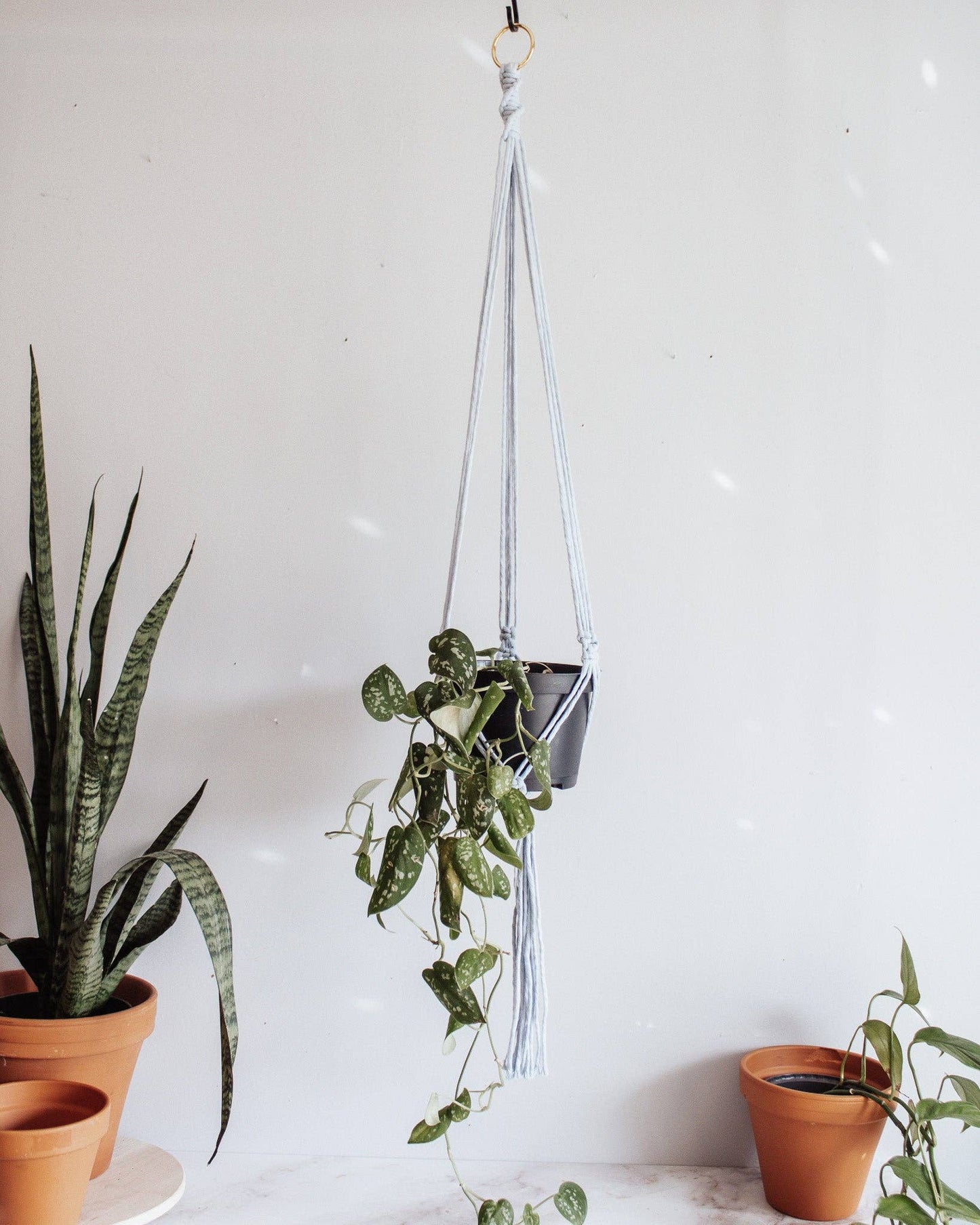 Basic Macrame Plant Hanger: Deep Green