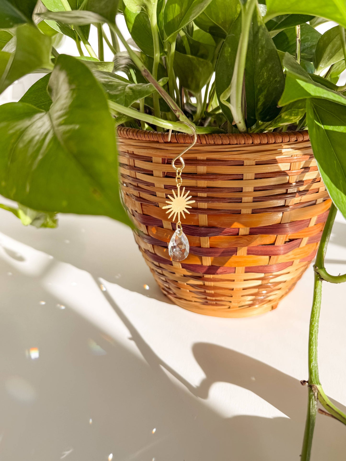 Plant Charm | Suncatcher + Sun | Houseplant Accessories