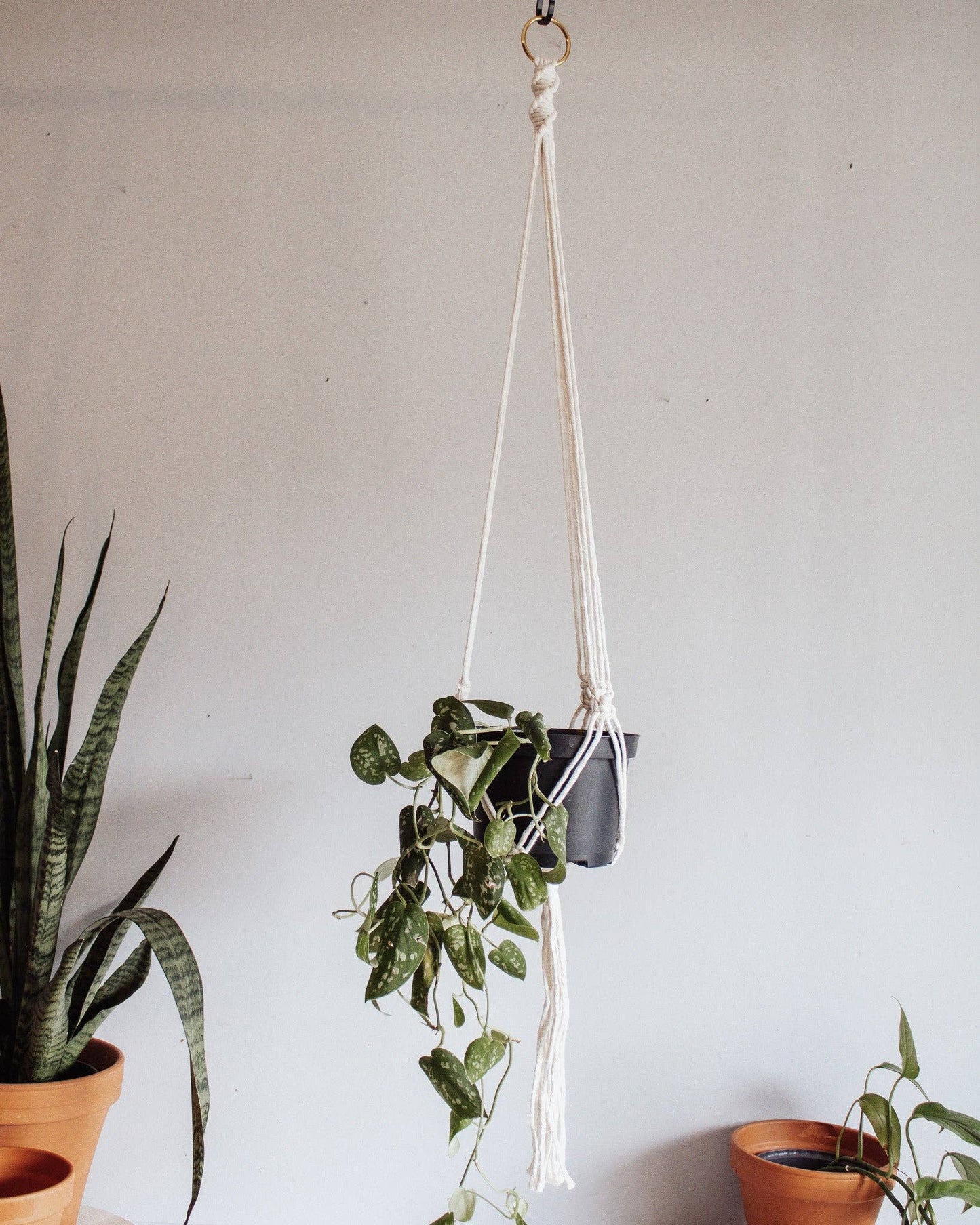 Basic Macrame Plant Hanger: Deep Green