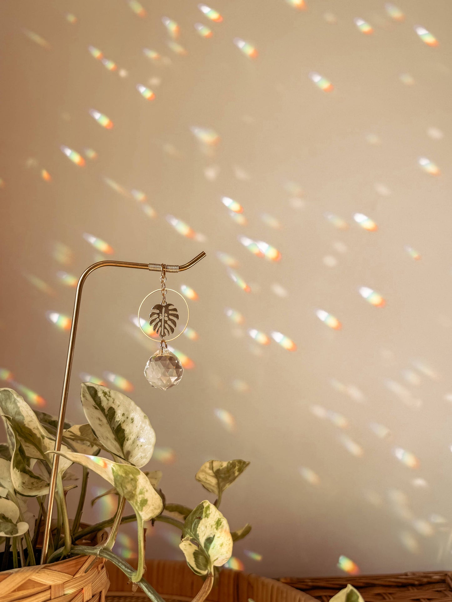 Plant Stake and Vine Charm Set | Suncatcher + Monstera Leaf