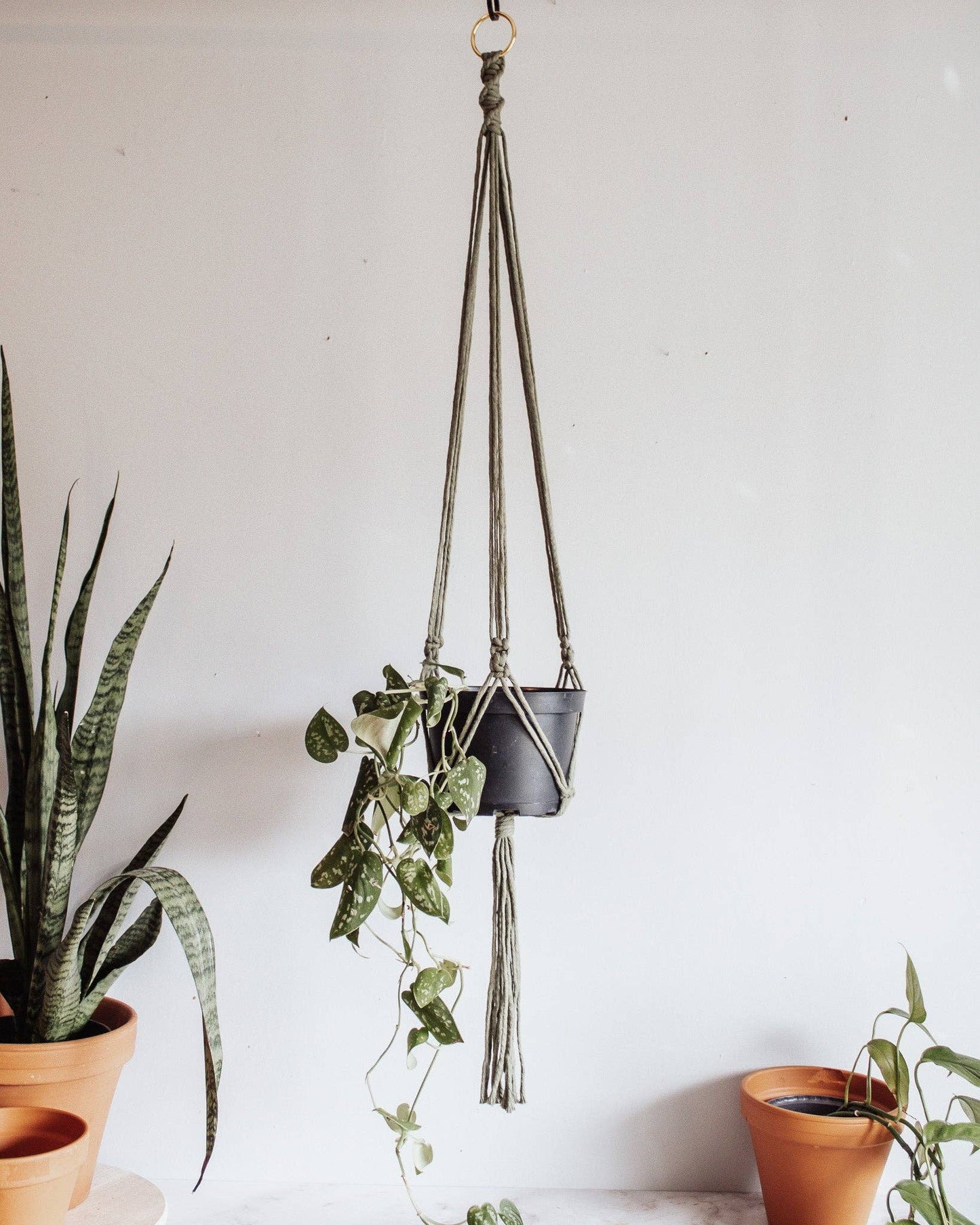 Basic Macrame Plant Hanger: Deep Green