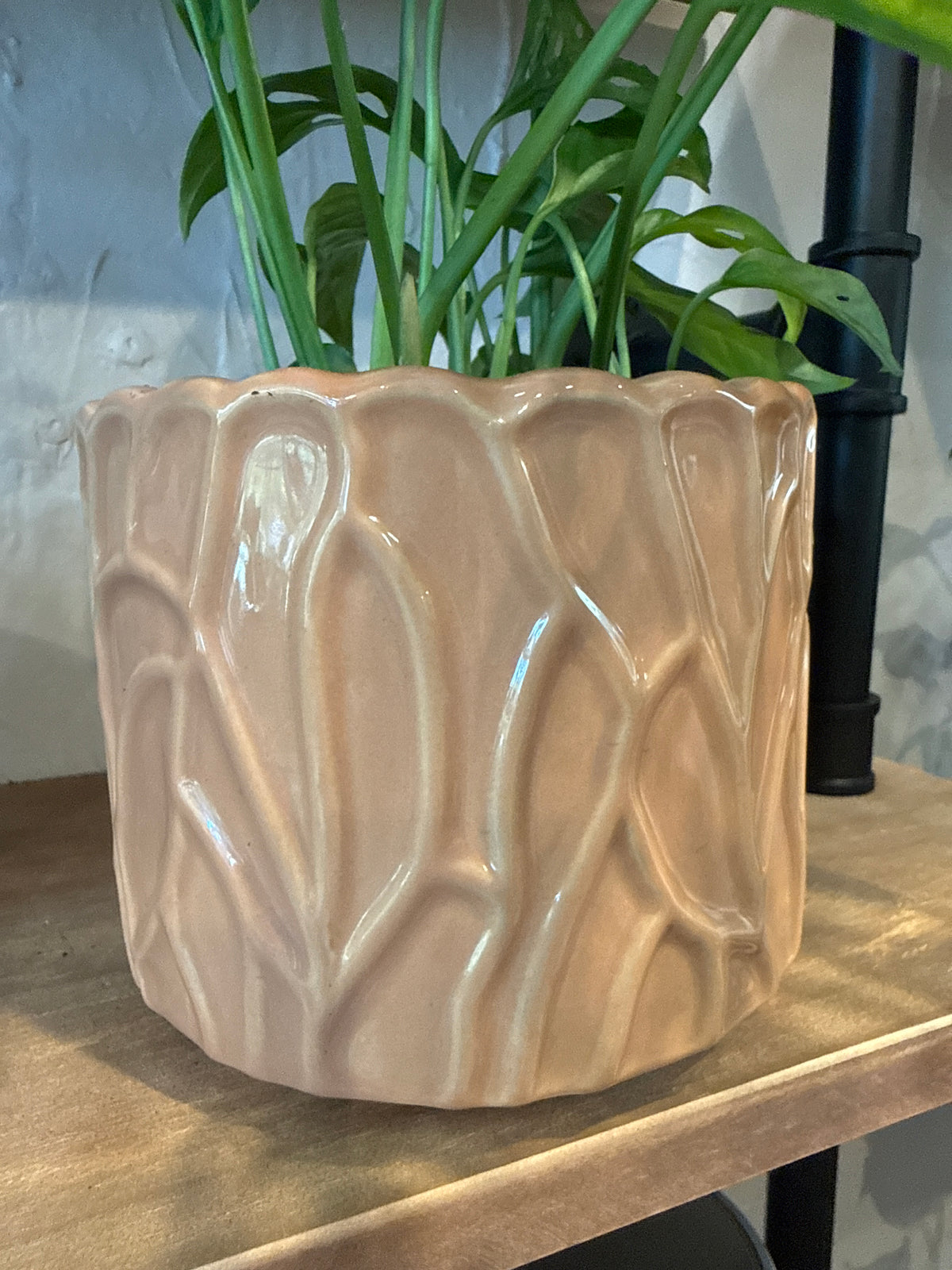 Peach Pot