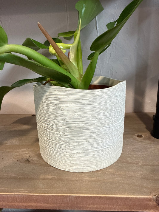 Delphi Pot 4.75” x 4”
