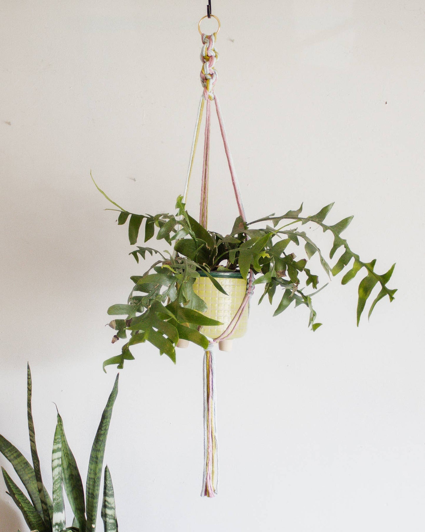 Chunky Twist Plant Hanger - Multicolor: Copper