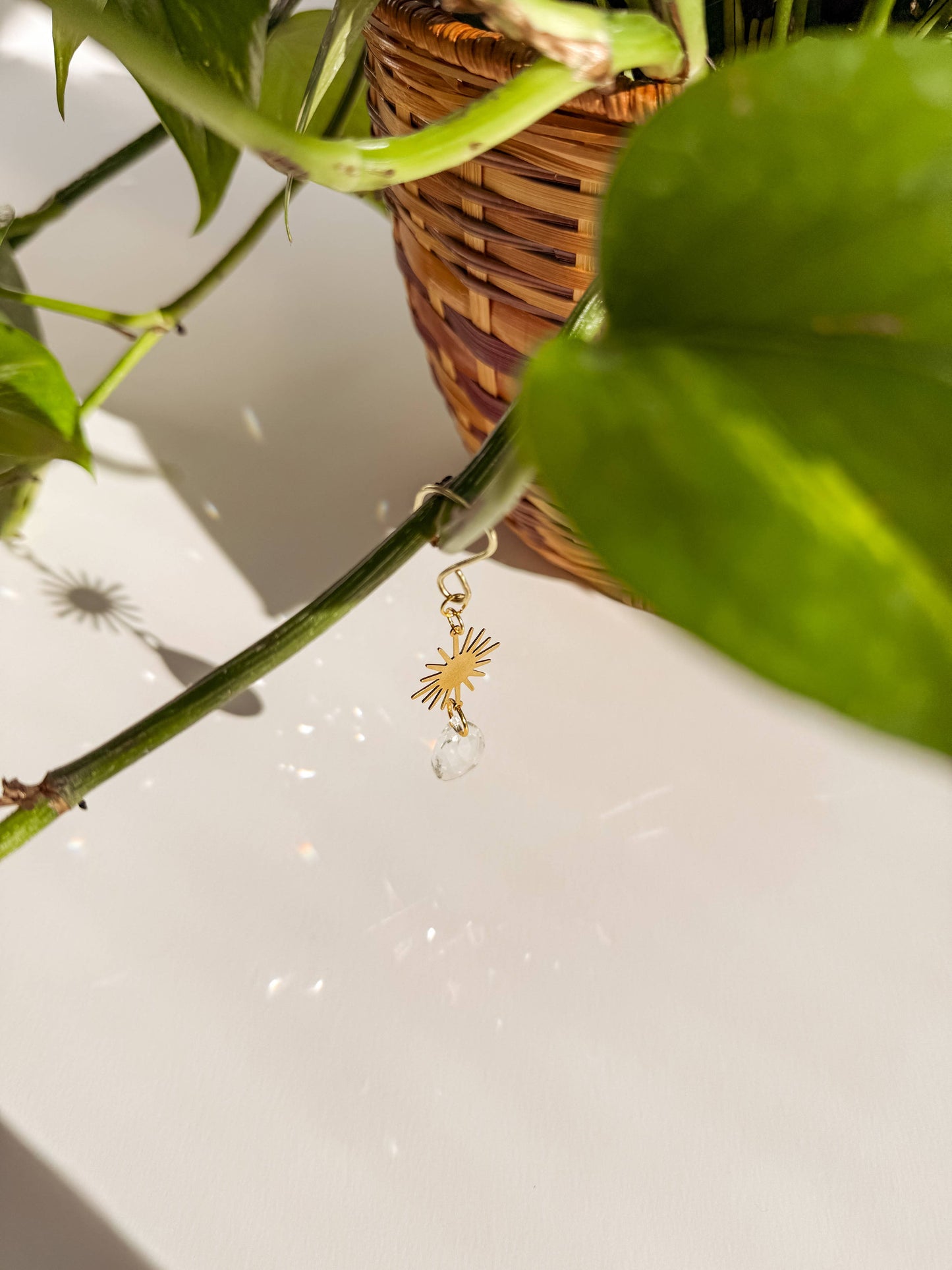 Plant Charm | Suncatcher + Sun | Houseplant Accessories