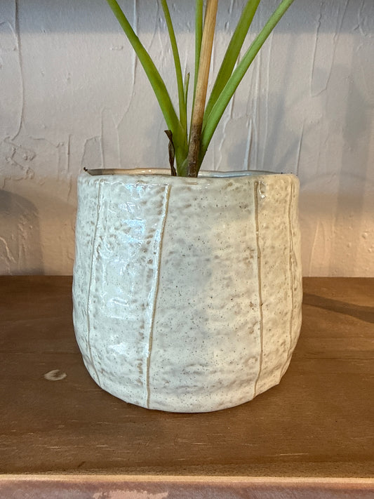 Morgan Pot 5” x 4.75”