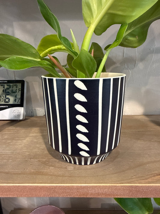 Ziva Pot 4.5” x 4.5”