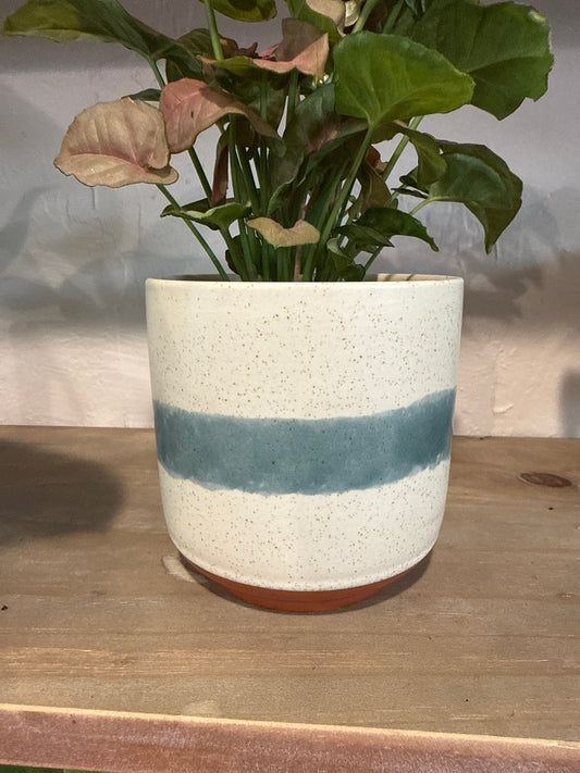 Mateo Pot 4.25”x4.5”