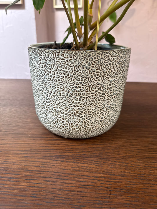 Millie Pot 6.5”x 6”
