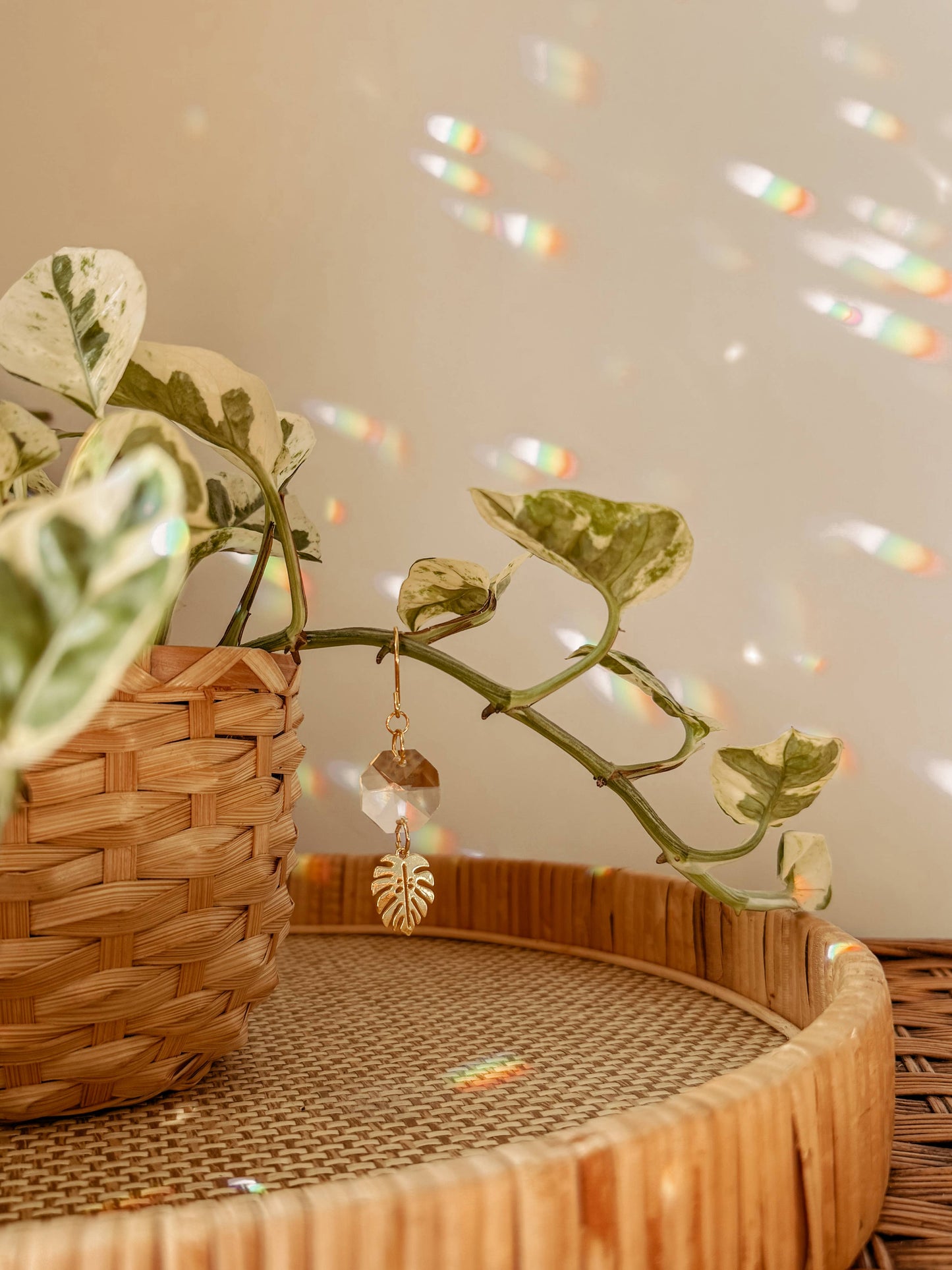Plant Stake and Vine Charm Set | Suncatcher + Monstera Leaf