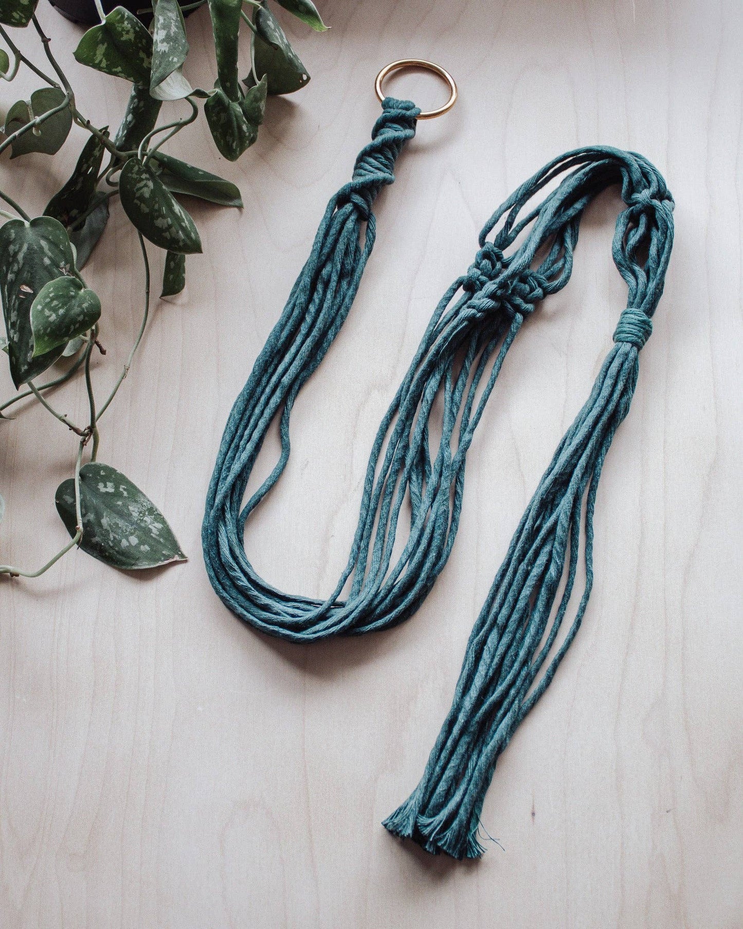Basic Macrame Plant Hanger: Deep Green