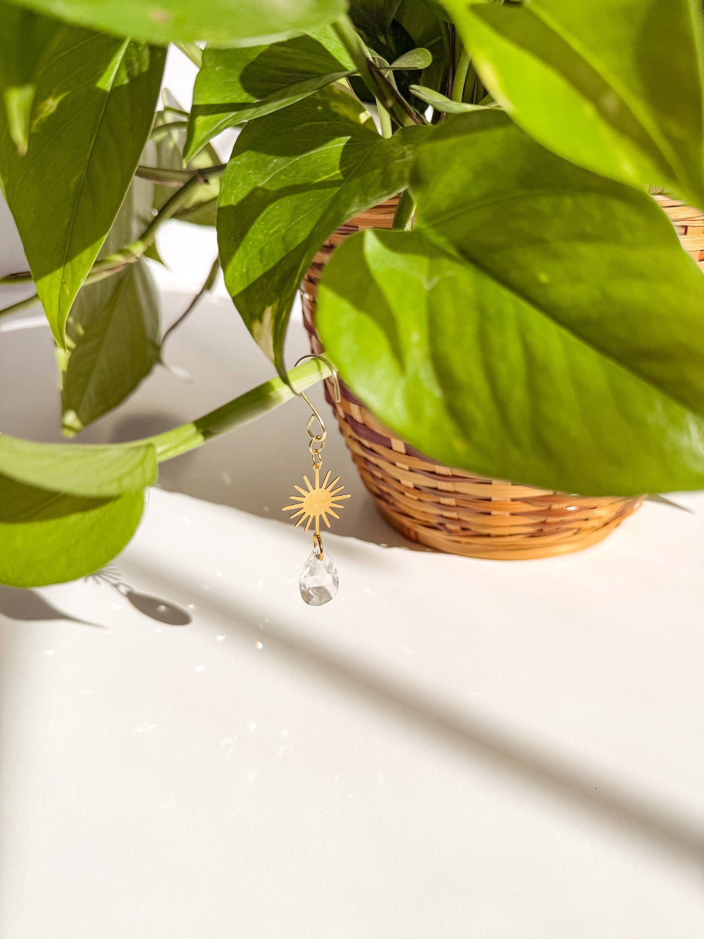 Plant Charm | Suncatcher + Sun | Houseplant Accessories