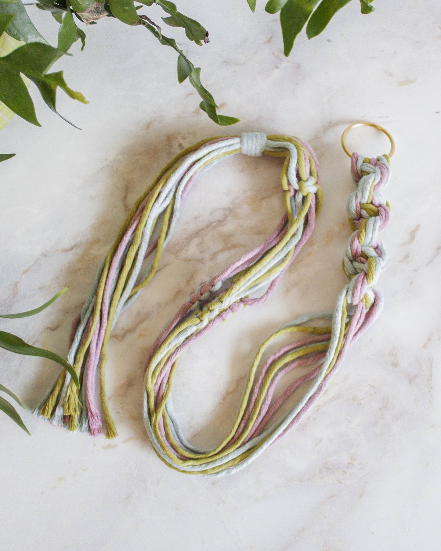 Chunky Twist Plant Hanger - Multicolor: Deep Green