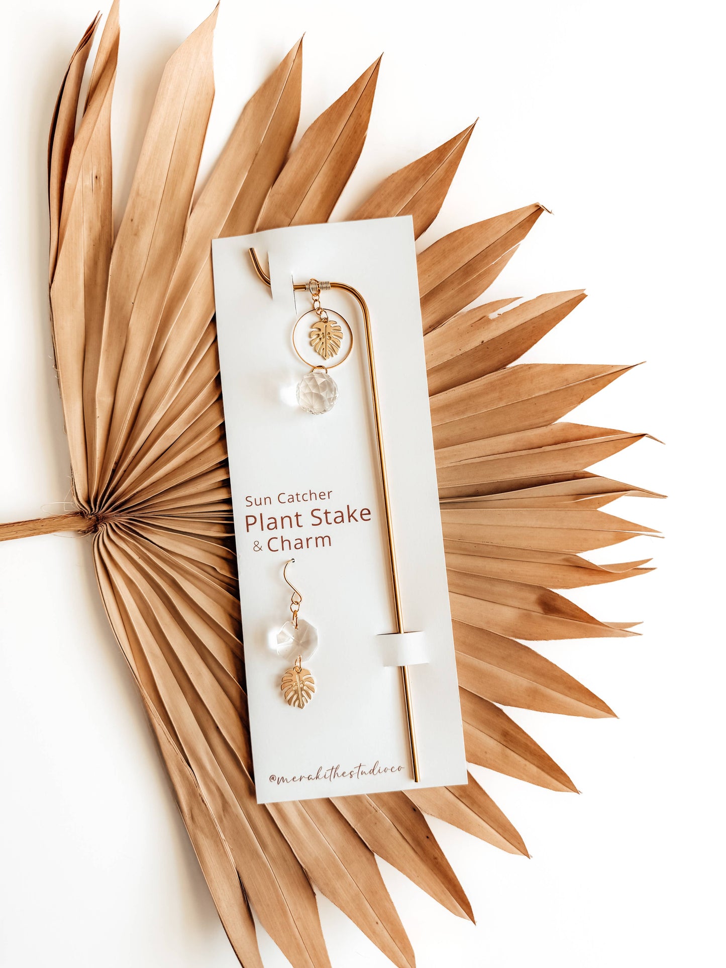 Plant Stake and Vine Charm Set | Suncatcher + Monstera Leaf