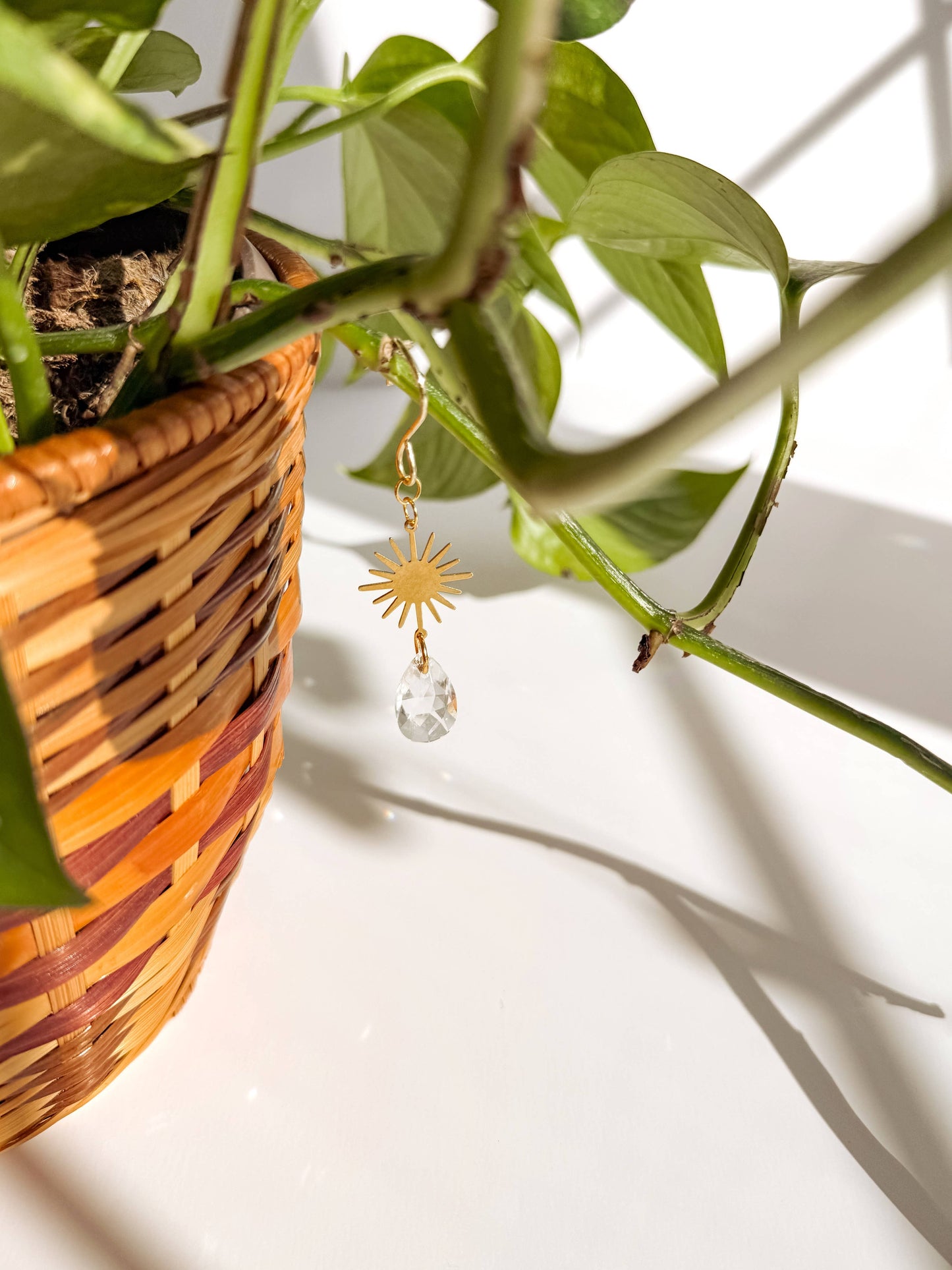 Plant Charm | Suncatcher + Sun | Houseplant Accessories