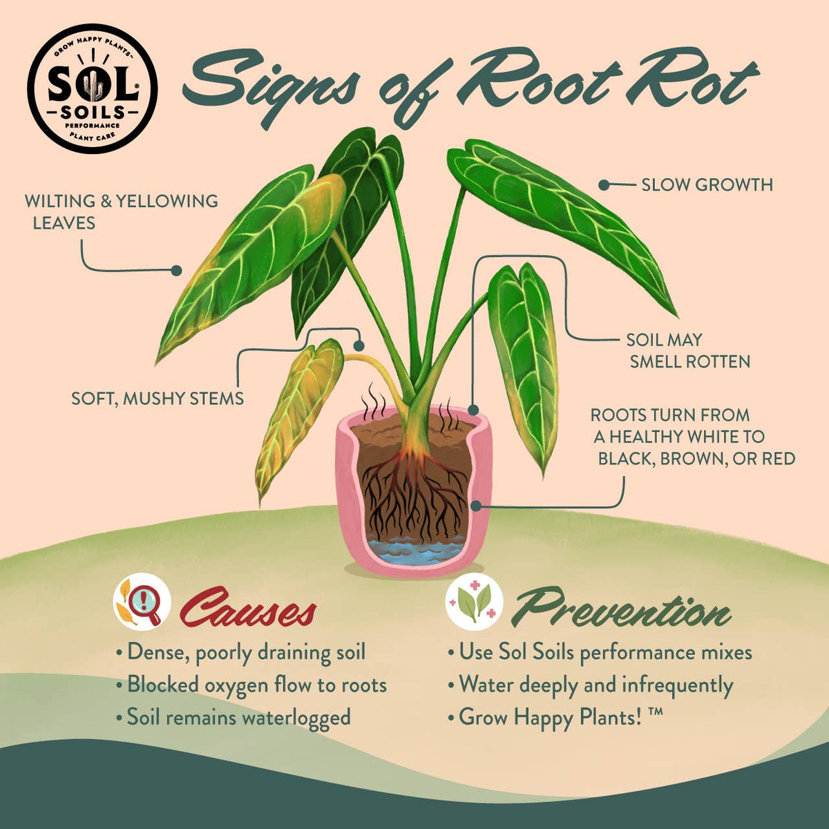 Bulk Soil - Houseplant Chunky Mix (7 Gal Box) Soilless