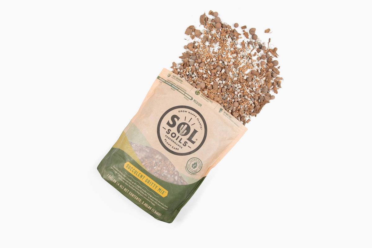 Soil (2Qt) Succulent Gritty Mix (Soilless): 2 Quarts