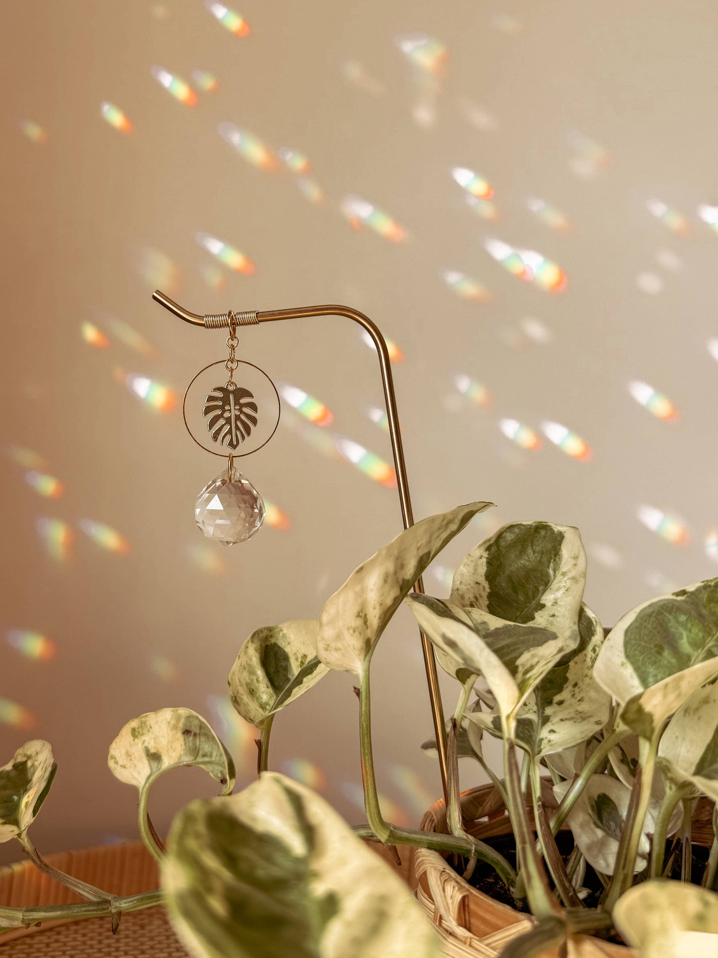 Plant Stake and Vine Charm Set | Suncatcher + Monstera Leaf