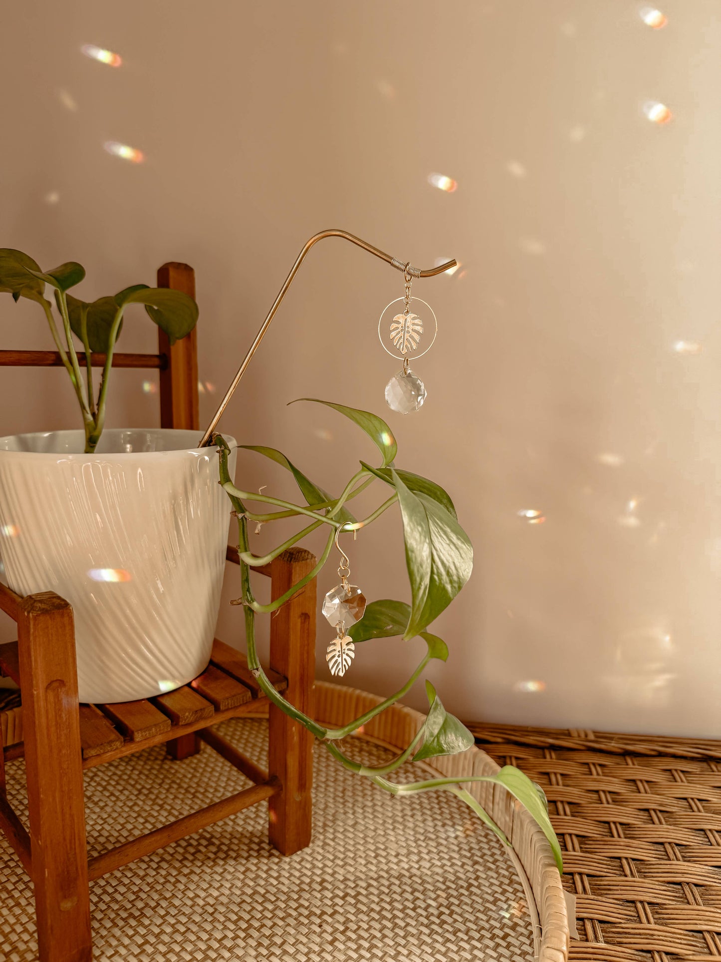 Plant Stake and Vine Charm Set | Suncatcher + Monstera Leaf